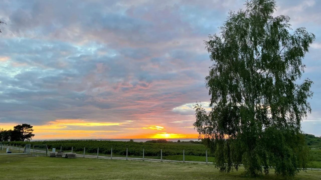 Domki Letniskowe Mts Sloneczne Wzgorze Tolkmicko Exteriér fotografie