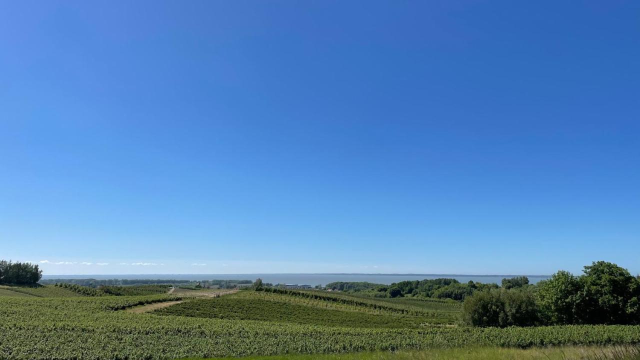 Domki Letniskowe Mts Sloneczne Wzgorze Tolkmicko Exteriér fotografie